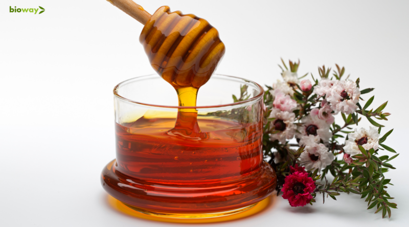 proprietati si beneficiile mierii de manuka