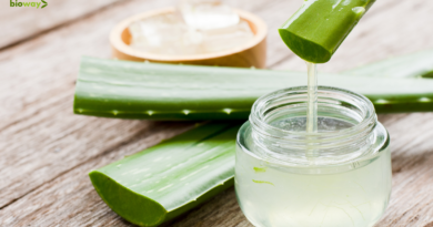 totul despre aloe vera