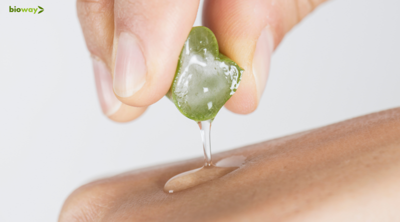 aloe vera si alergii