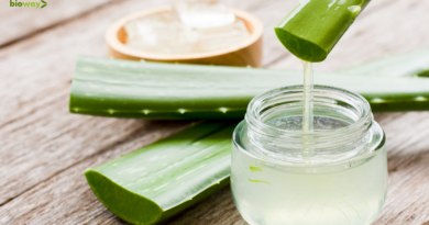 aloe vera pentru sanatate si frumusete